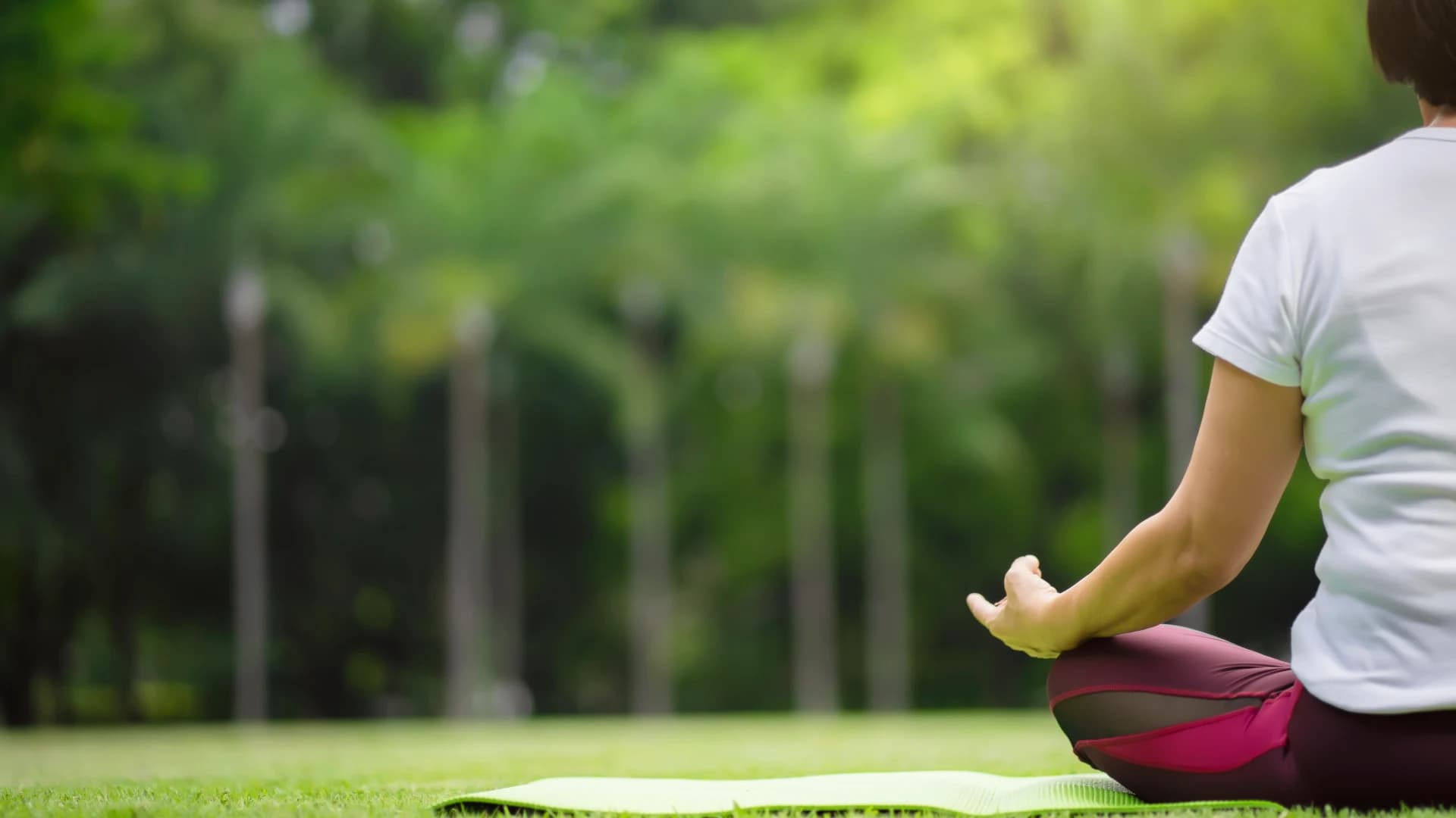 Yoga Lawns
