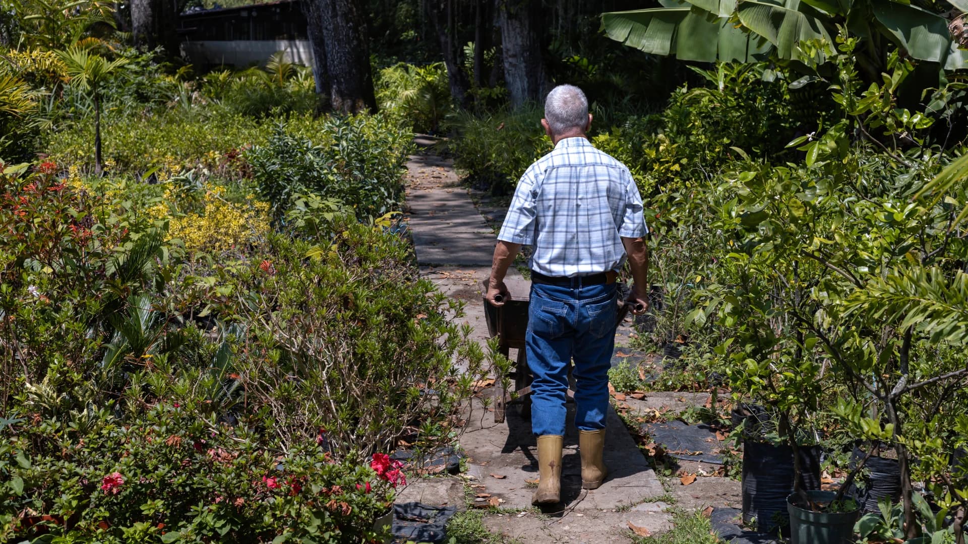 Senior Citizen Gardens