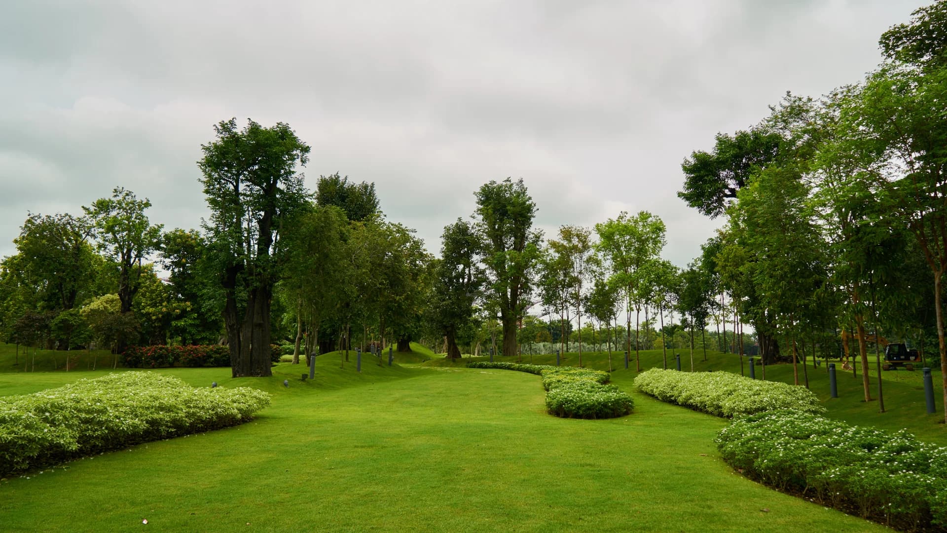 Landscaped Gardens