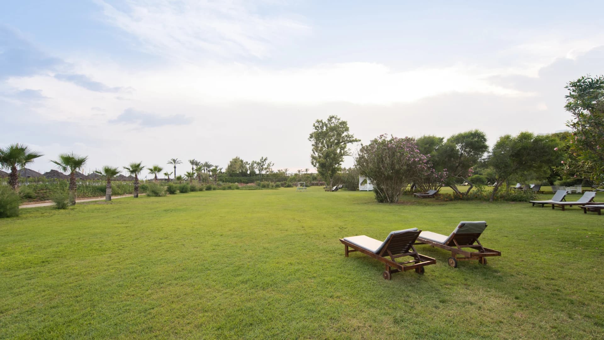 Open Leisure Lawns
