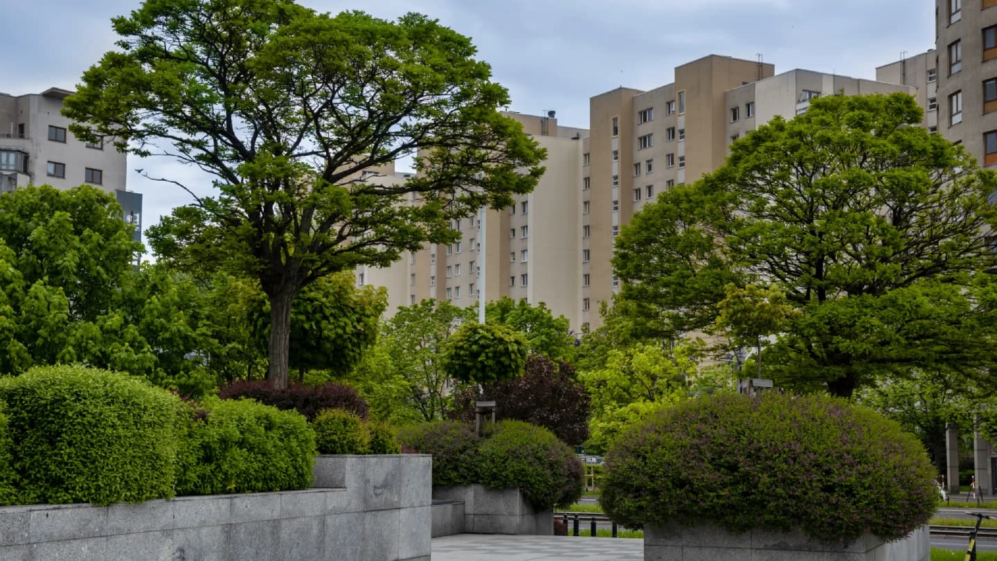 Landscaped Environment