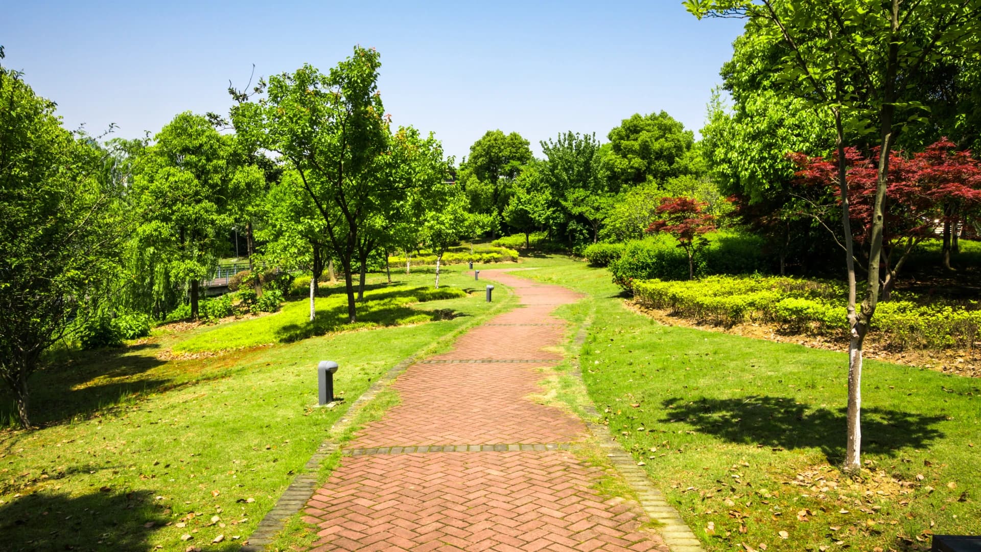 Avenue Trees & Landscaping
